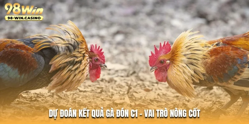 Dự đoán kết quả gà đón C1 - Vai trò nòng cốt