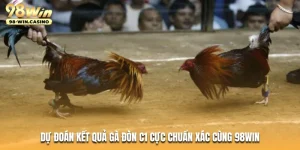 du-doan-ket-qua-ga-don-c1-cuc-chuan-xac-cung-98win